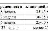 Добрый день.