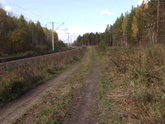 Красота сегодня