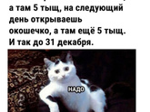 Что бы вы хотели