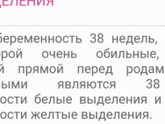 38 недель.