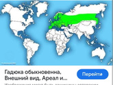 Не ну тв