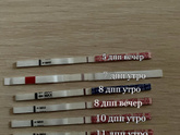 А вдруг чудо? 12 дпп