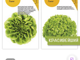У кого уже началась