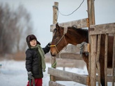 Питомцы.
