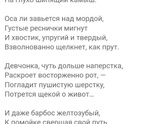 Что курил автор?