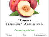 14 недель. 🍑🍑🍑