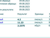 Подскажите, пожалуйста, результаты