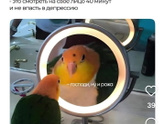 🤣🤣