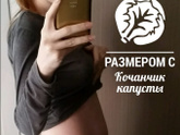 17ая неделя