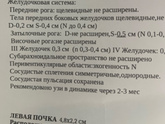 УЗИ головы