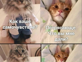 Как настроение?