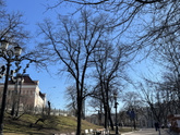 Весна