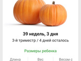 Самые тяжёлые последние денёчки