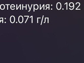 Анализ на суточный белок