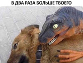 😅😅😅😅