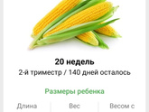 Экватор ??