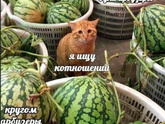 Встречались ли вам абьюзеры? Как с ними общаться?