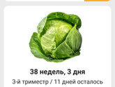 Когда смотрю на эти