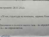 Девочки как думаете плохая