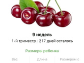 9 недель .