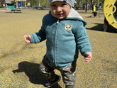 11 месяцев