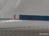 12 дпо