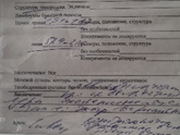 Узи почек Девочки сегодня