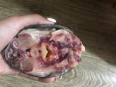 Что с карпом?можно ли кушать?