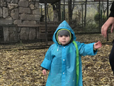 Владикавказ