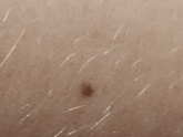 Я параноик?