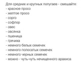 Корм для попугаев своими руками