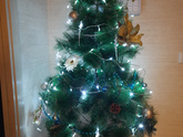 Ёлка 🎄