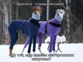 Сколько вы тратите на красоту в месяц?