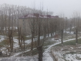 Снежок