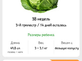 38 неделек🌸✨️