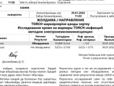 Торч инфекции