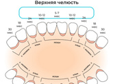 У дочки в 1,3