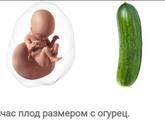 Вот уже и 18