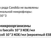 Посев из Цервикального Канала