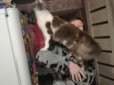 Вот как их можно