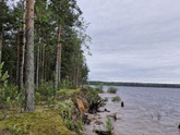 Рыбинка