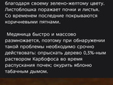 Садоводам