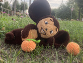Режим ждуна