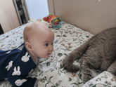 Наши новости
