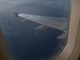 Самый Главный Пассажир! ❤️😊🙏🏻✈️