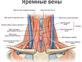 Эктазия внутренних яремных вен с двух сторон.