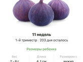 11 недель .
