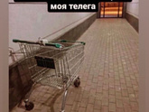 В сфере последних событий...