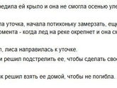 Кратчайшее содержание серой шейки несколько предложений