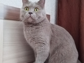 Удивительные существа